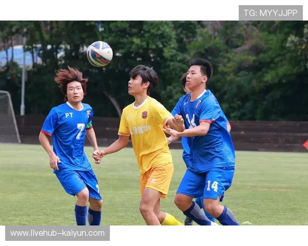 2025年北京市青少年手球锦标赛，大兴区与丰台区分获男女甲组头名